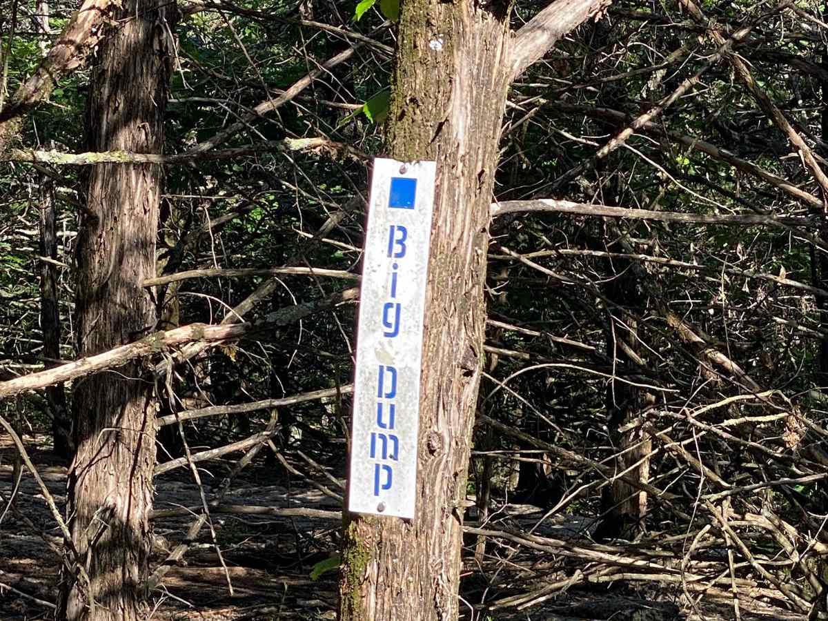 Big Dump photo 4