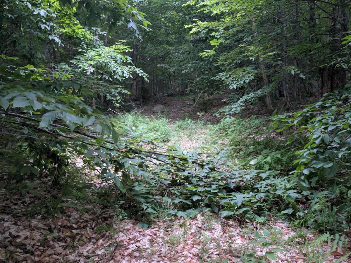 Albert Marsh Hill Road photo 4
