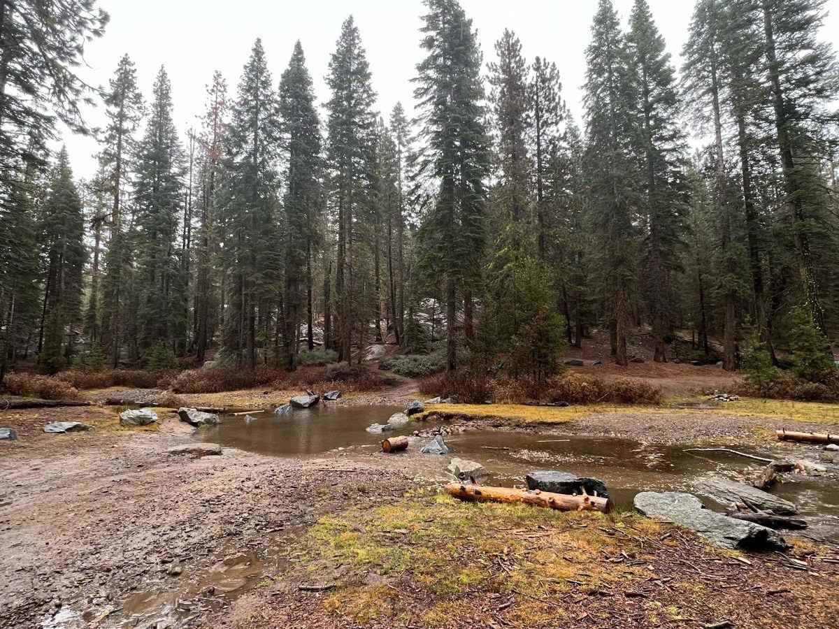 Trout Creek photo 3