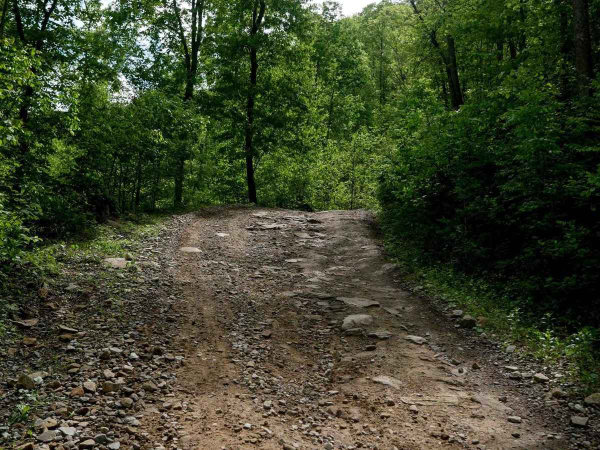 RH 25 photo 5