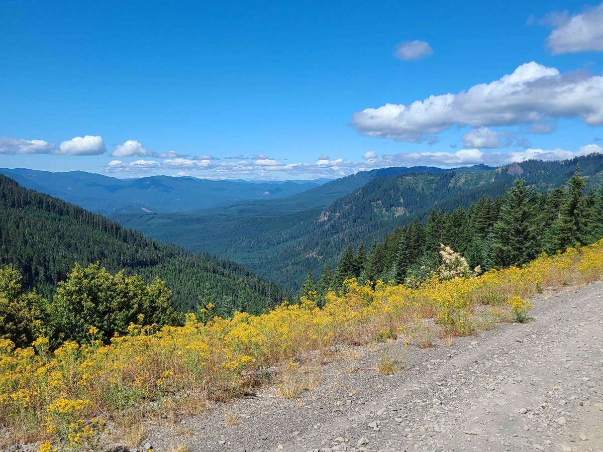 Pioneer Gulch #2149 photo 4