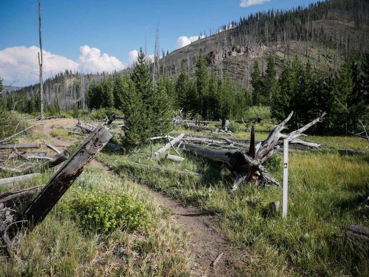 Deadwood Creek trail photo