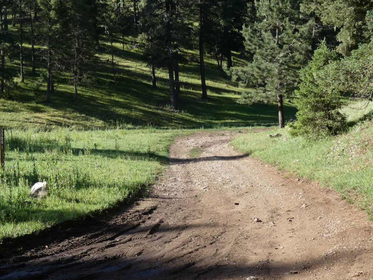North Orr trail photo