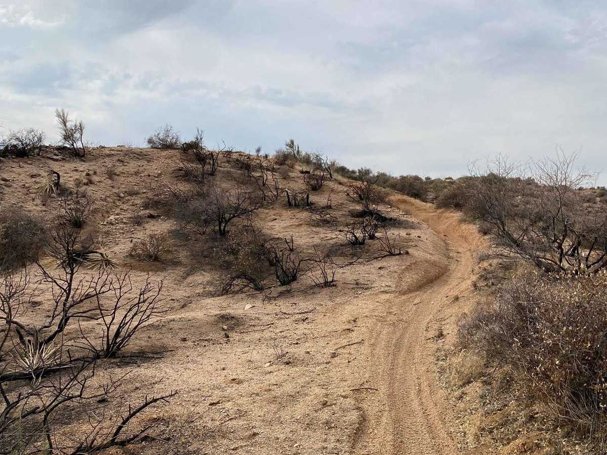 P5008 - Rattlesnake trail photo