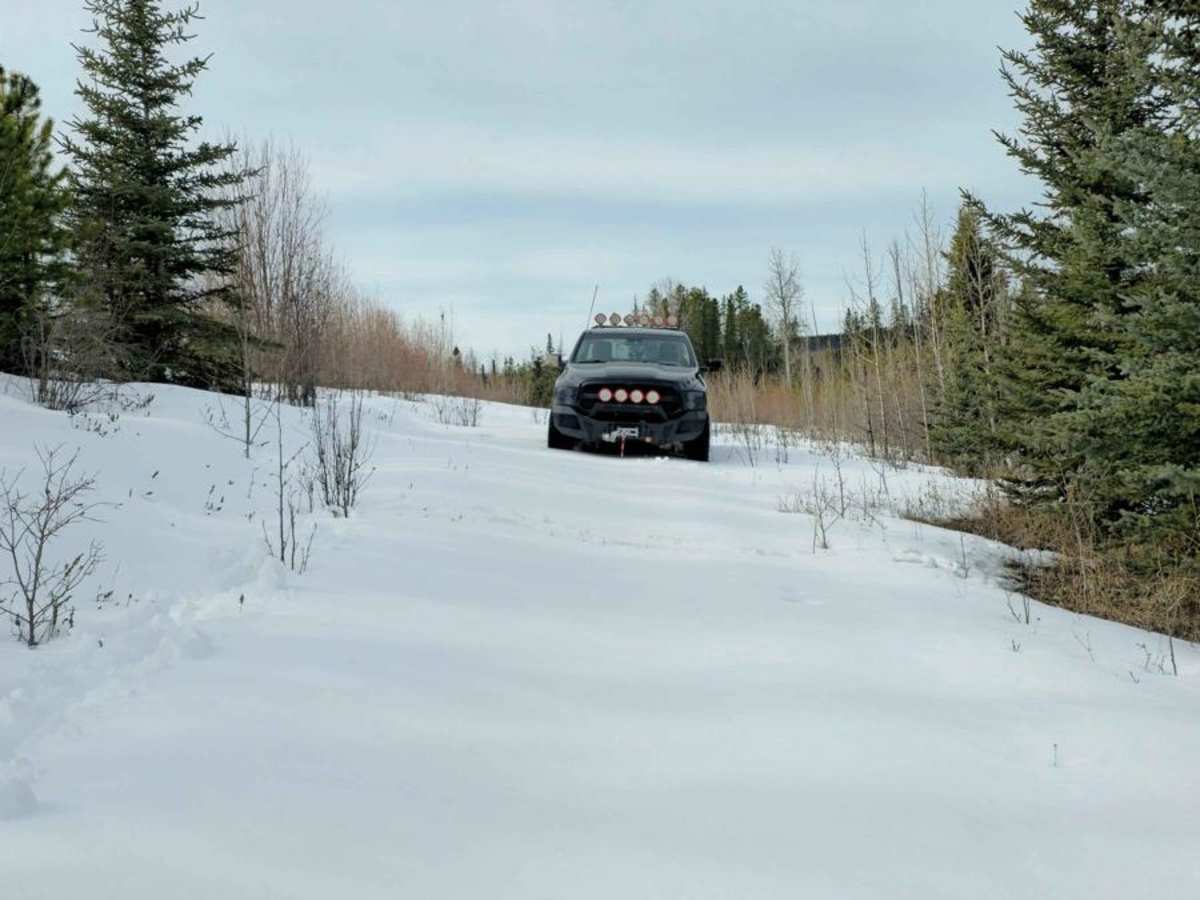 3150 Trail photo 5