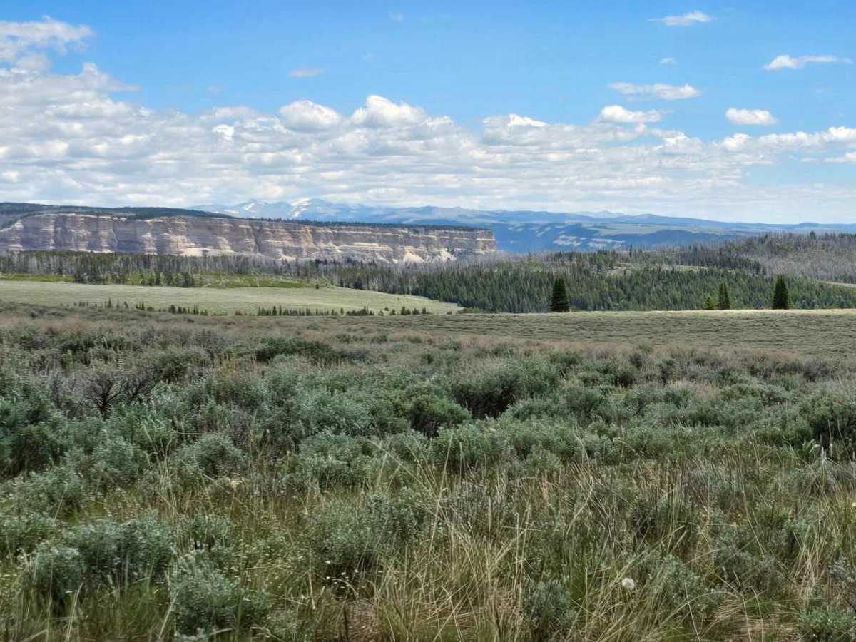 Sunlight Mesa (FSR207) photo 3