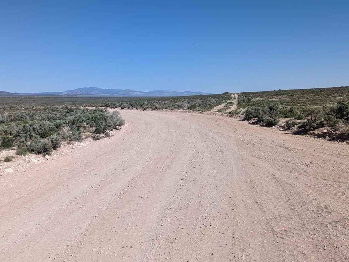 Pine Valley Road photo 2