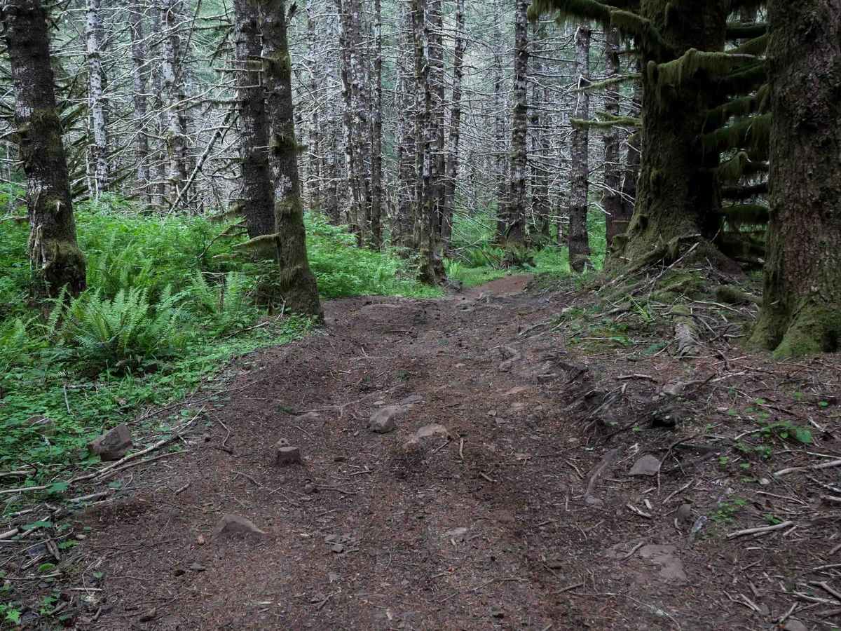 McNary Loop photo 6