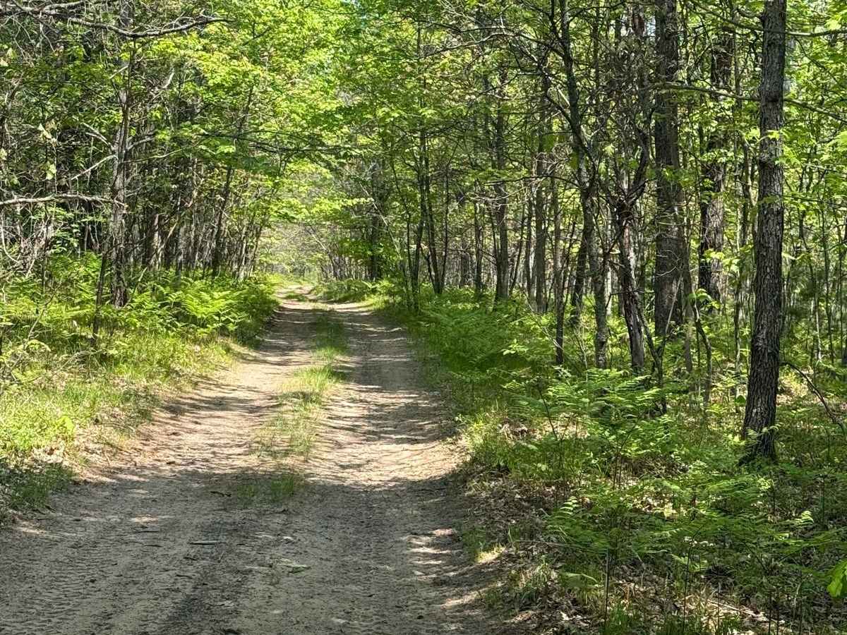 MCCCT Connector Trail trail photo
