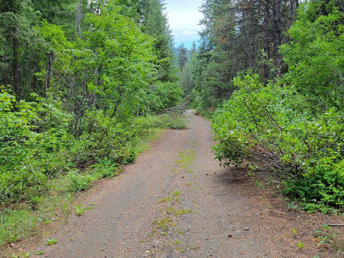 Newby Creek (4350100) photo 4