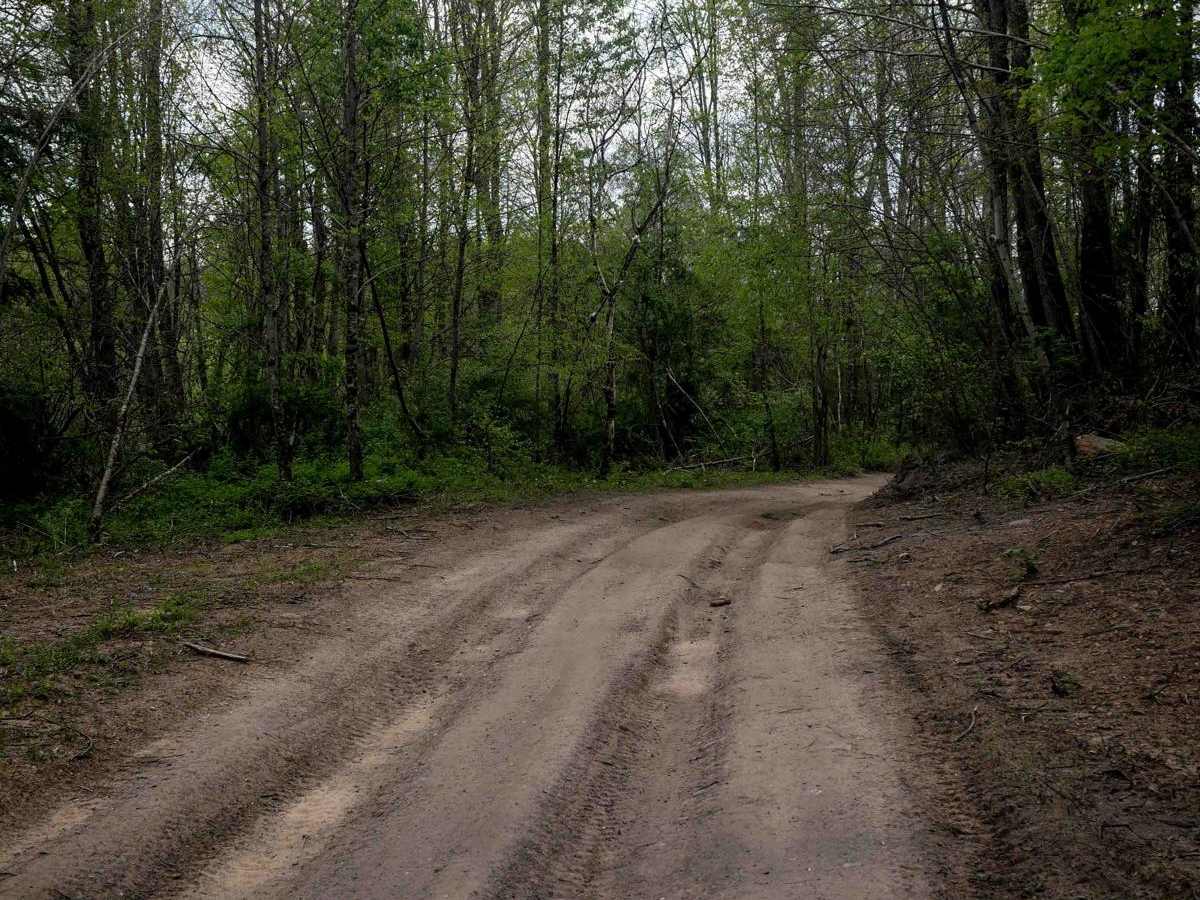 P64 photo 5