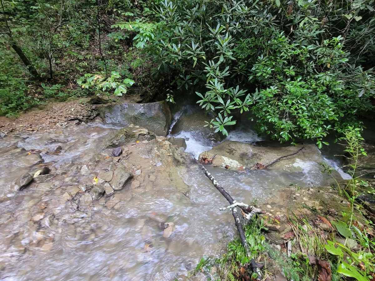 G21 - Skinned Ash Creek photo 4