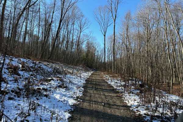 Locust Gap Single Track 15