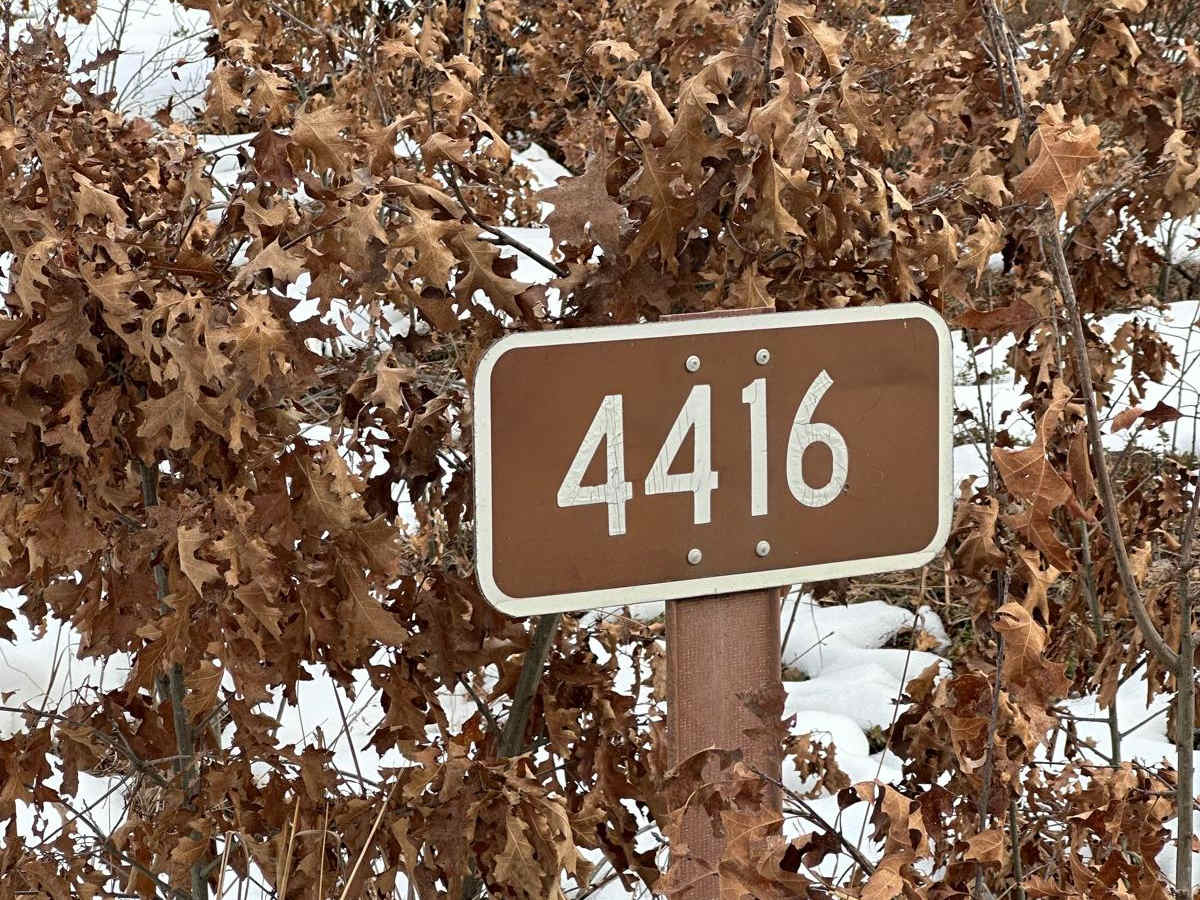 FS 4416 trail photo