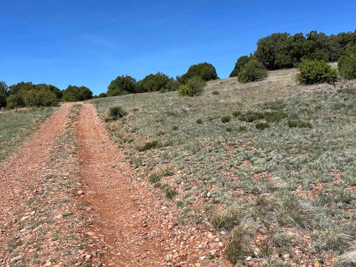 Hunt Tank Shortcut photo 3