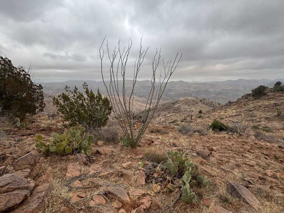 Benchmark Mountain trail photo