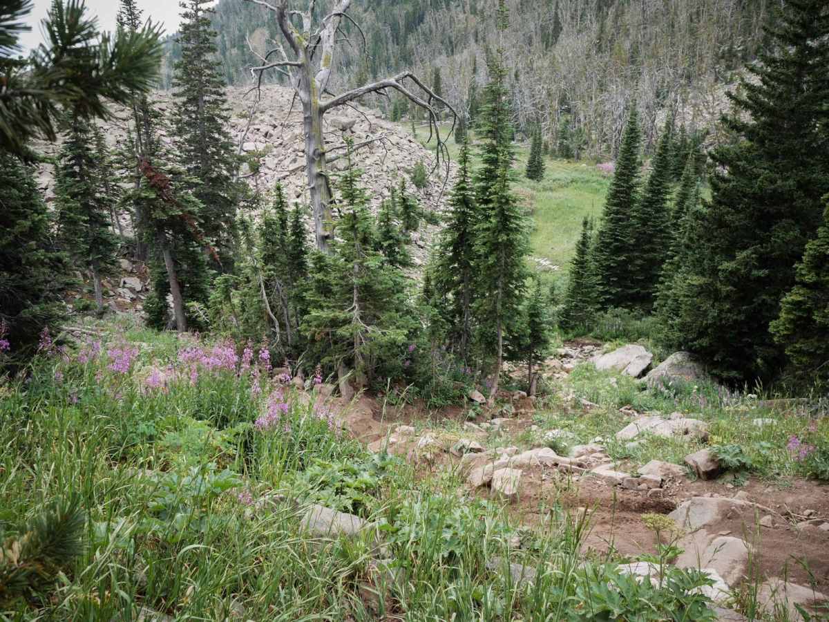 Corbly Gulch photo 4