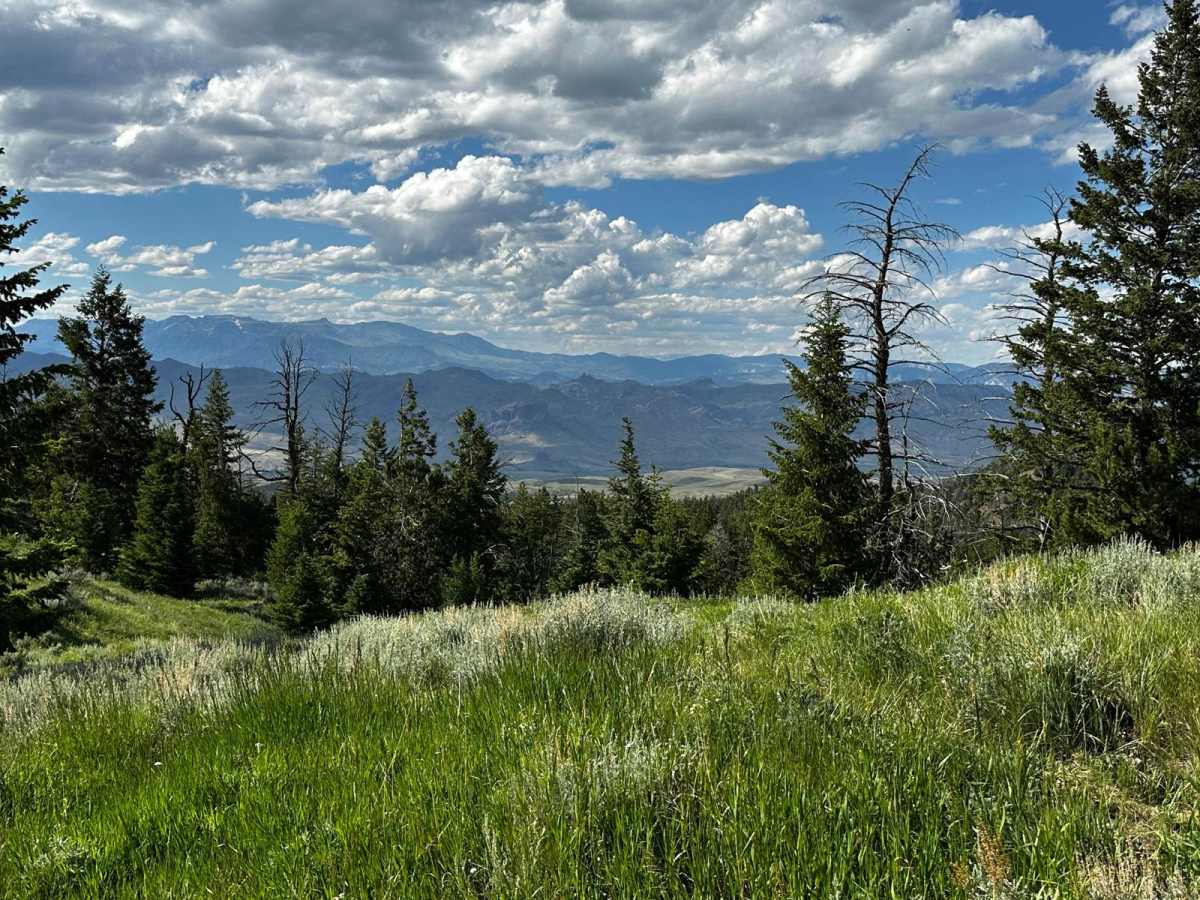 Carter Mountain Access photo 2