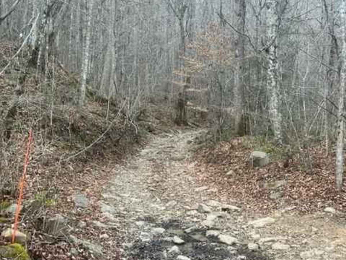Coalmont Trail 2 Blue photo 4