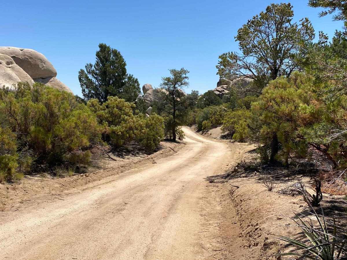 Scenic Road to Rancho Alamar photo 6
