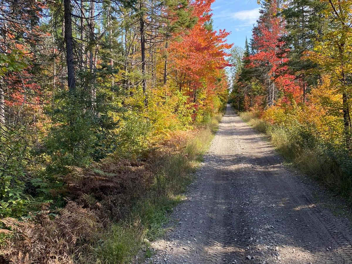 U.P. 419/Juniper Trail - Part 1 photo 4
