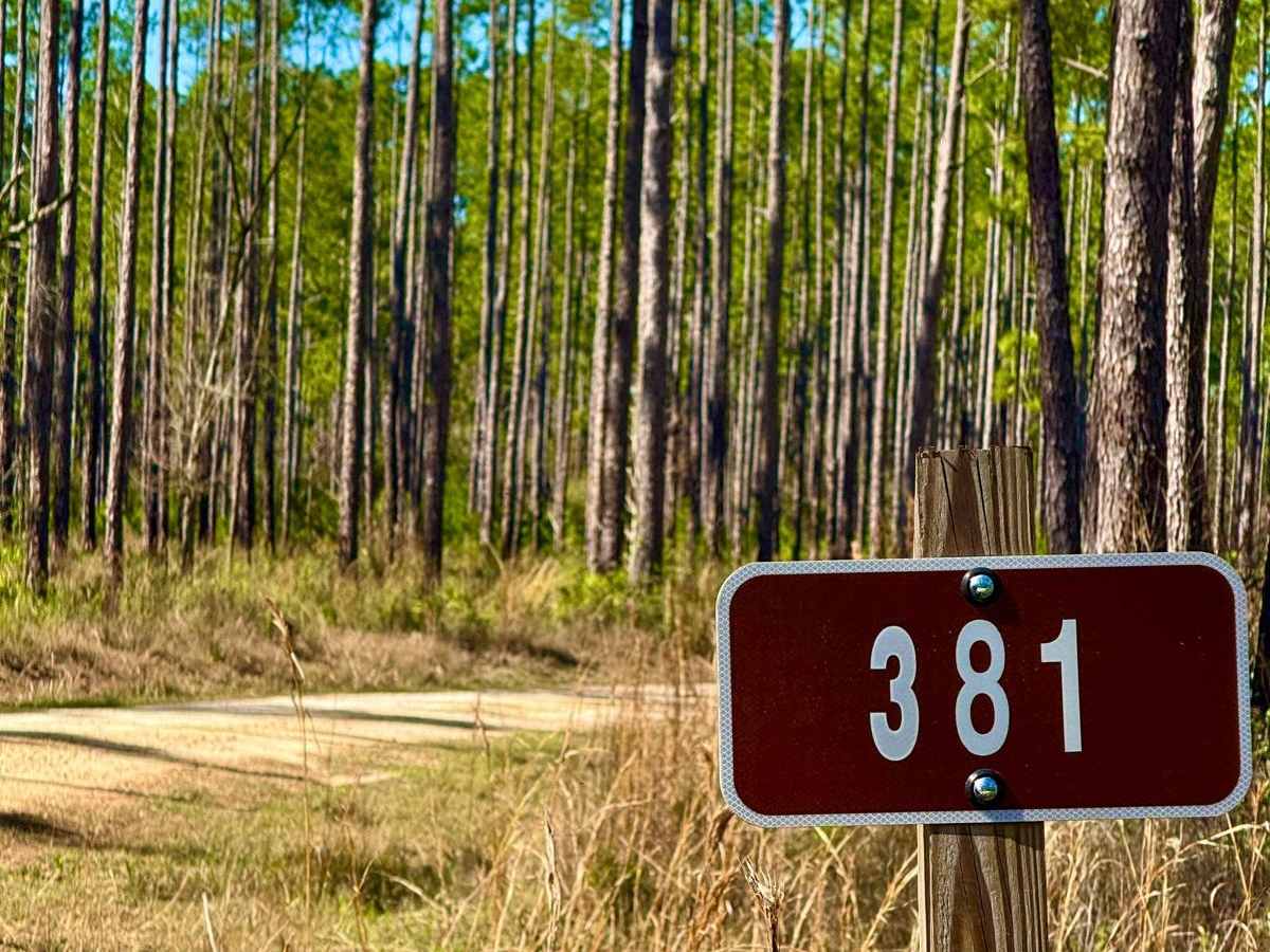 Bloxham - FS 381 trail photo