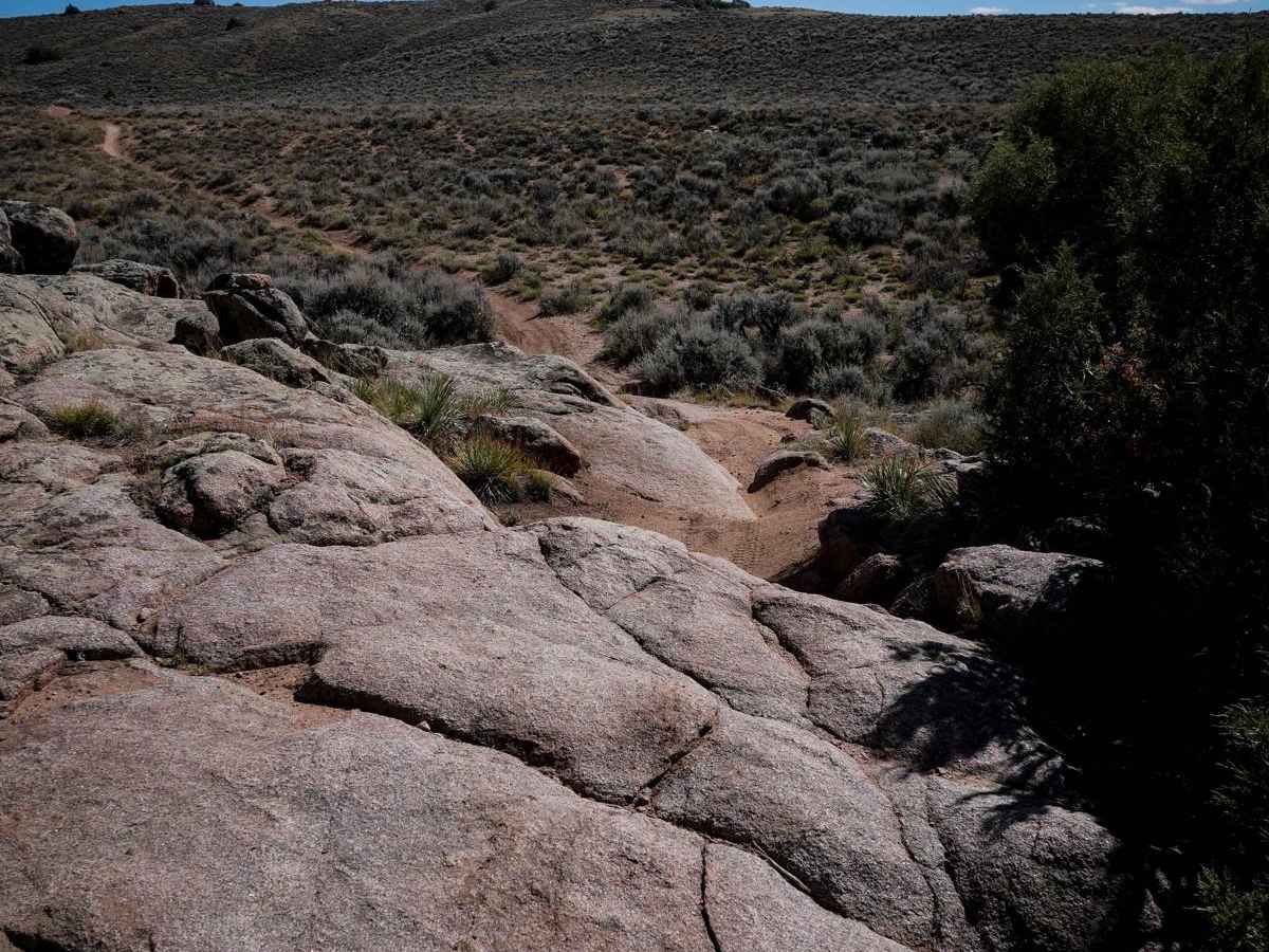 Dave Moe's trail photo