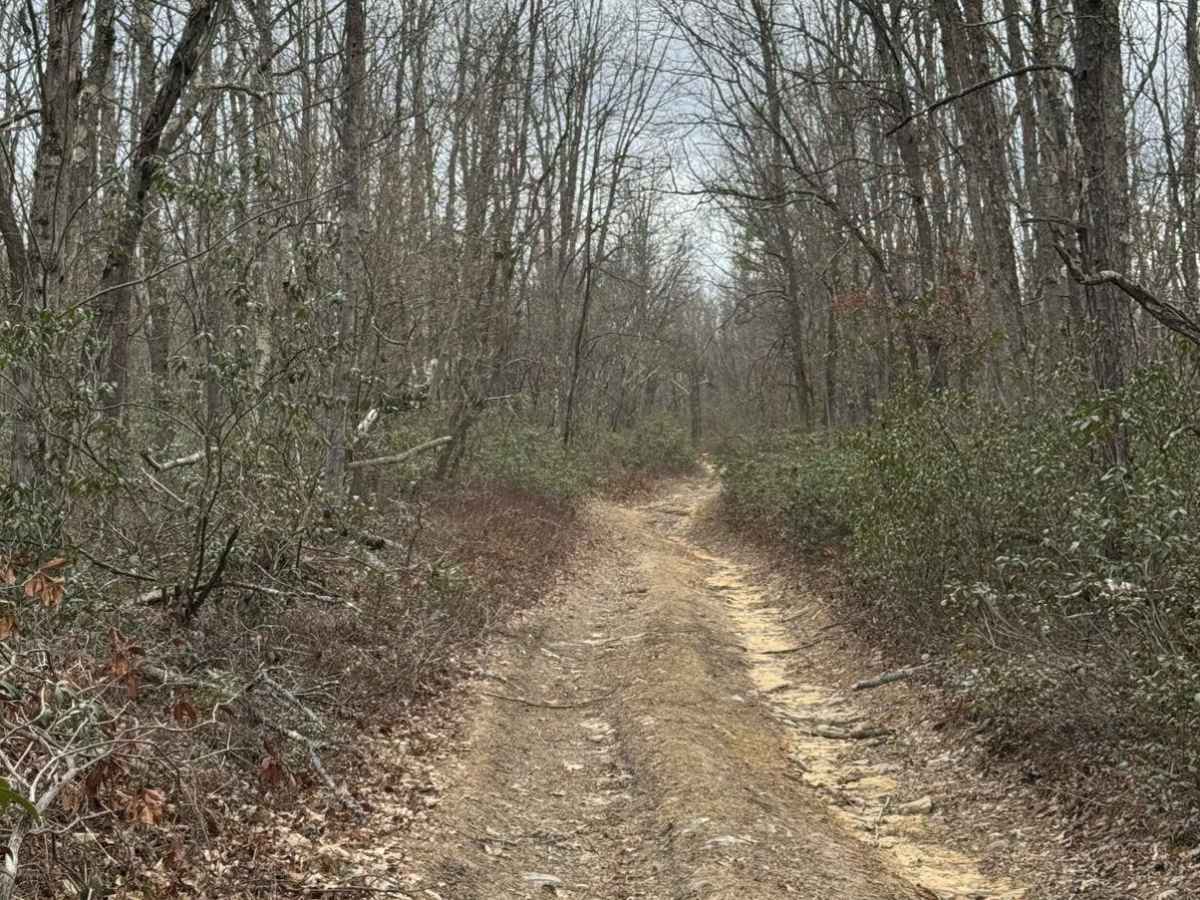 Wolf Run Supply Trail photo 3