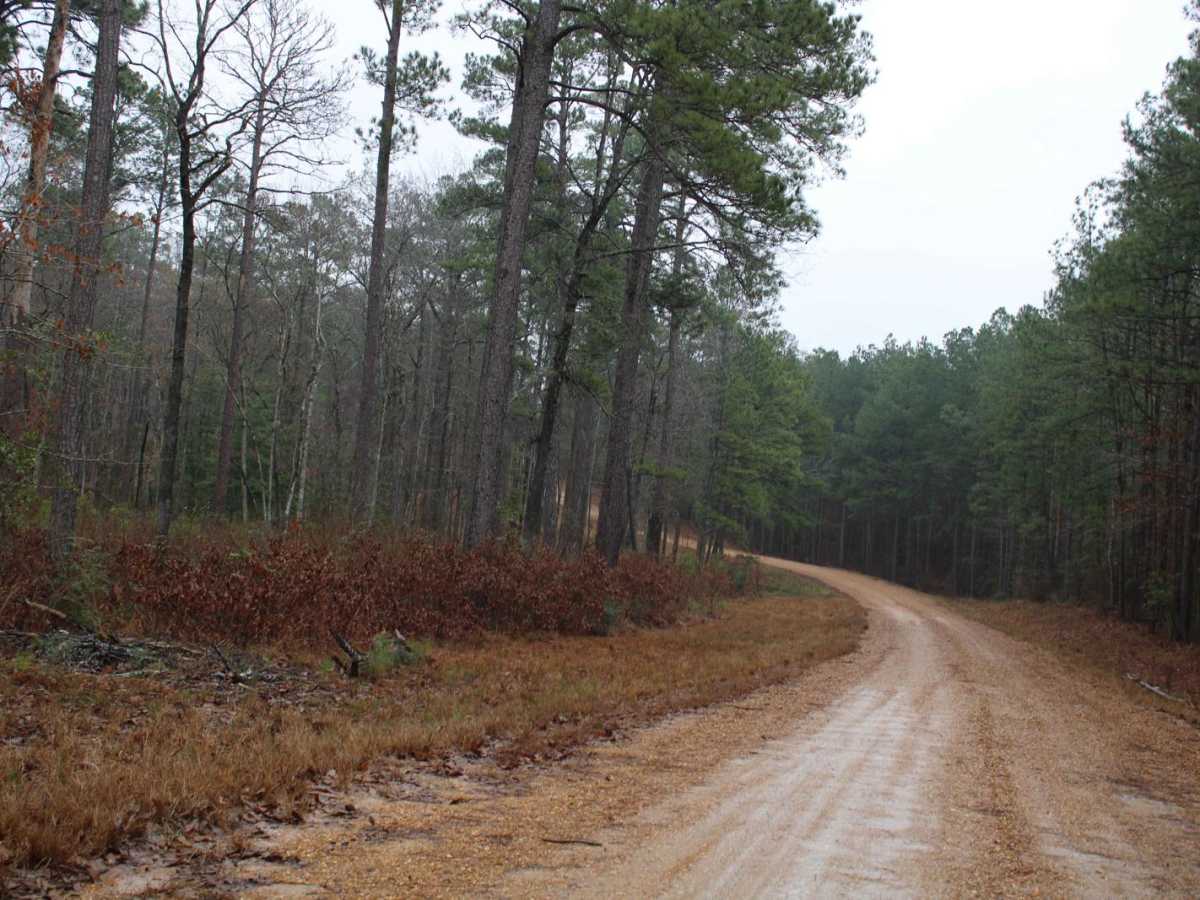 Peterson to Cloud Xing Road photo 6