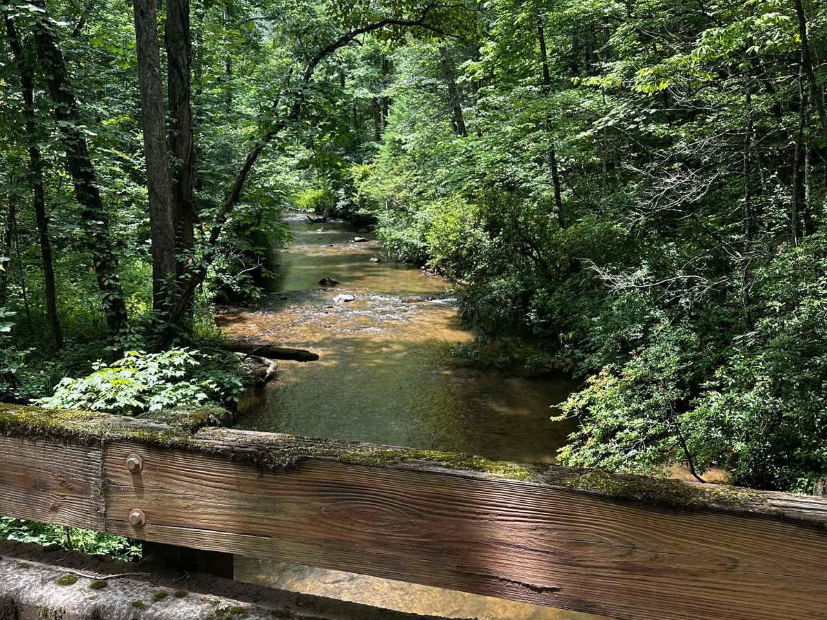 Nimblewill Branch 1 photo 3