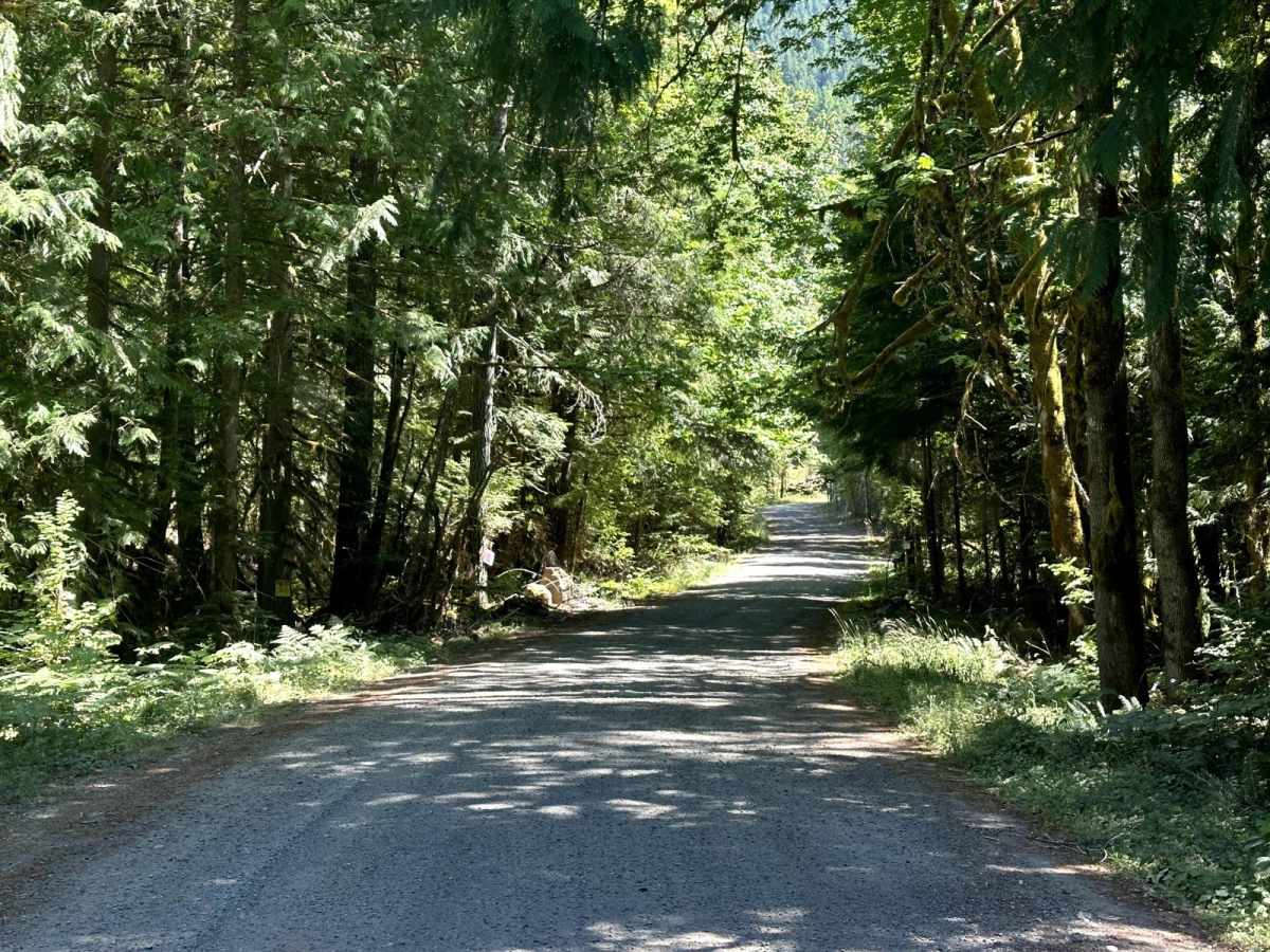 Smith Creek Road photo 2