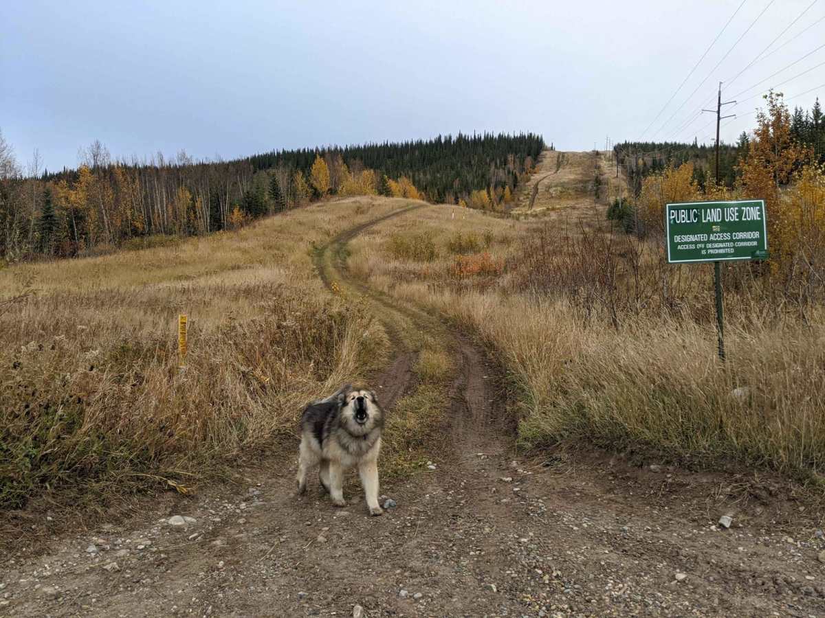Brule Lake Hill Climb trail photo