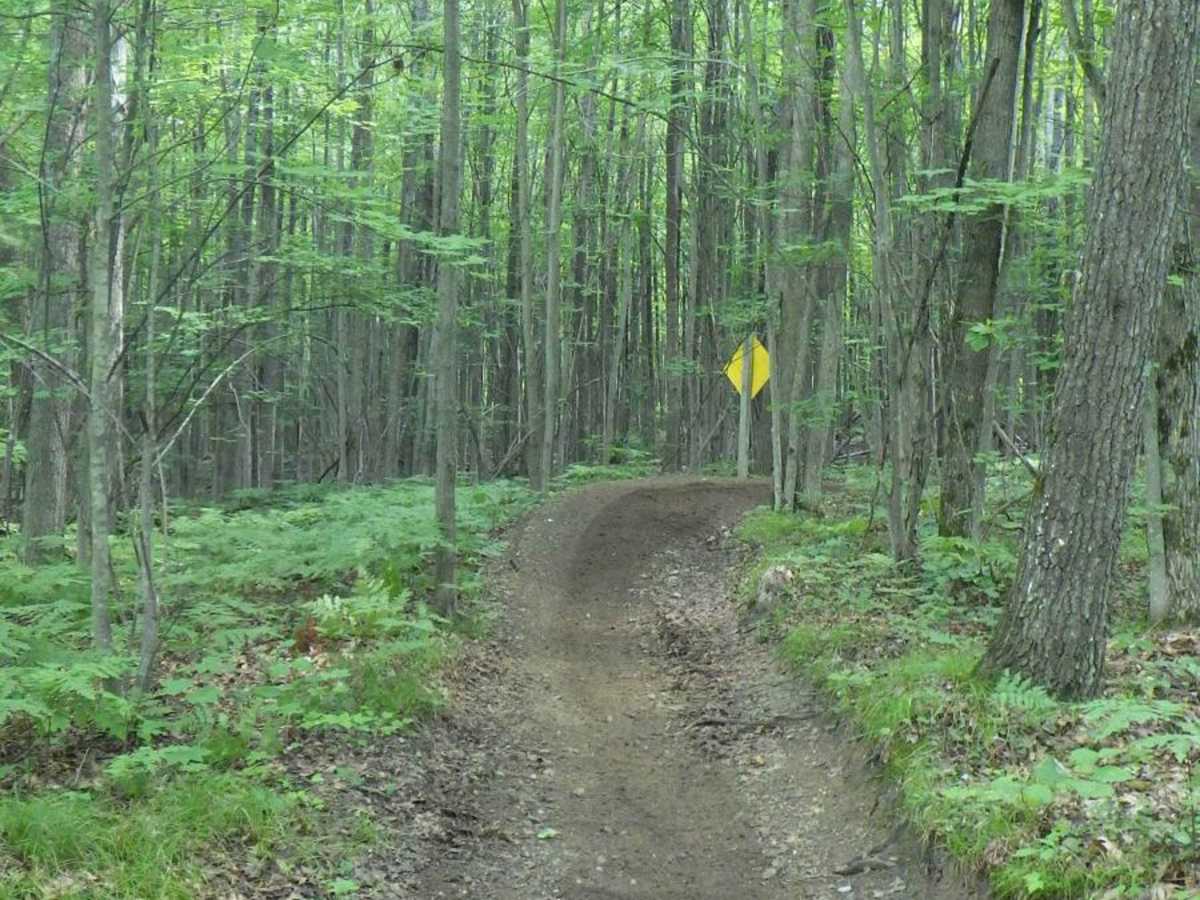 West Higgins Trail - North Cutoff, 14488, 18136, 14483, and 14484 photo 4