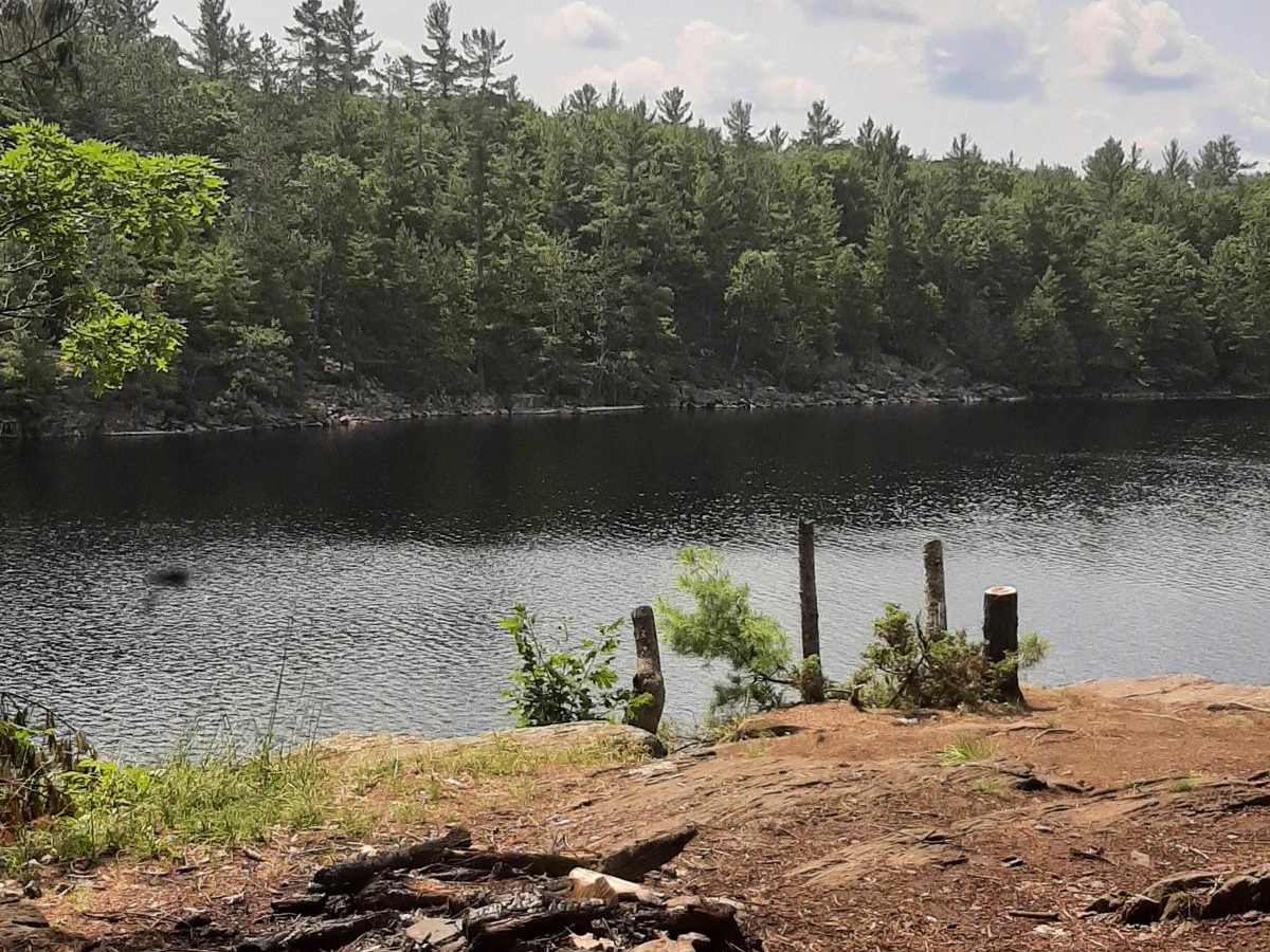 Concession Lake photo 4