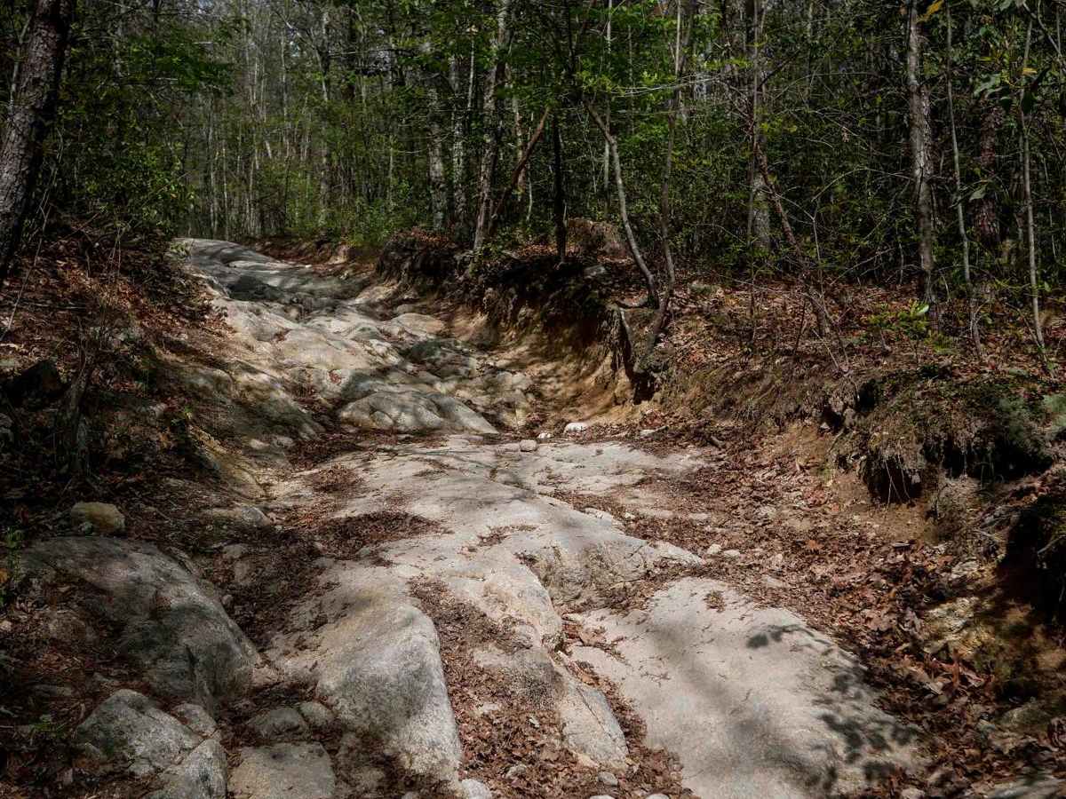 Trail 9 - 50 Inch photo 3