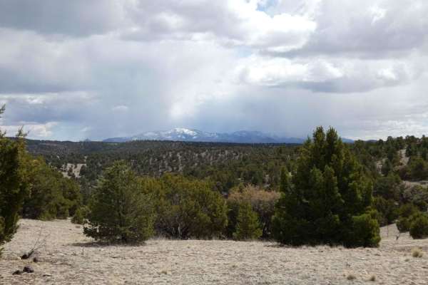Baney Canyon