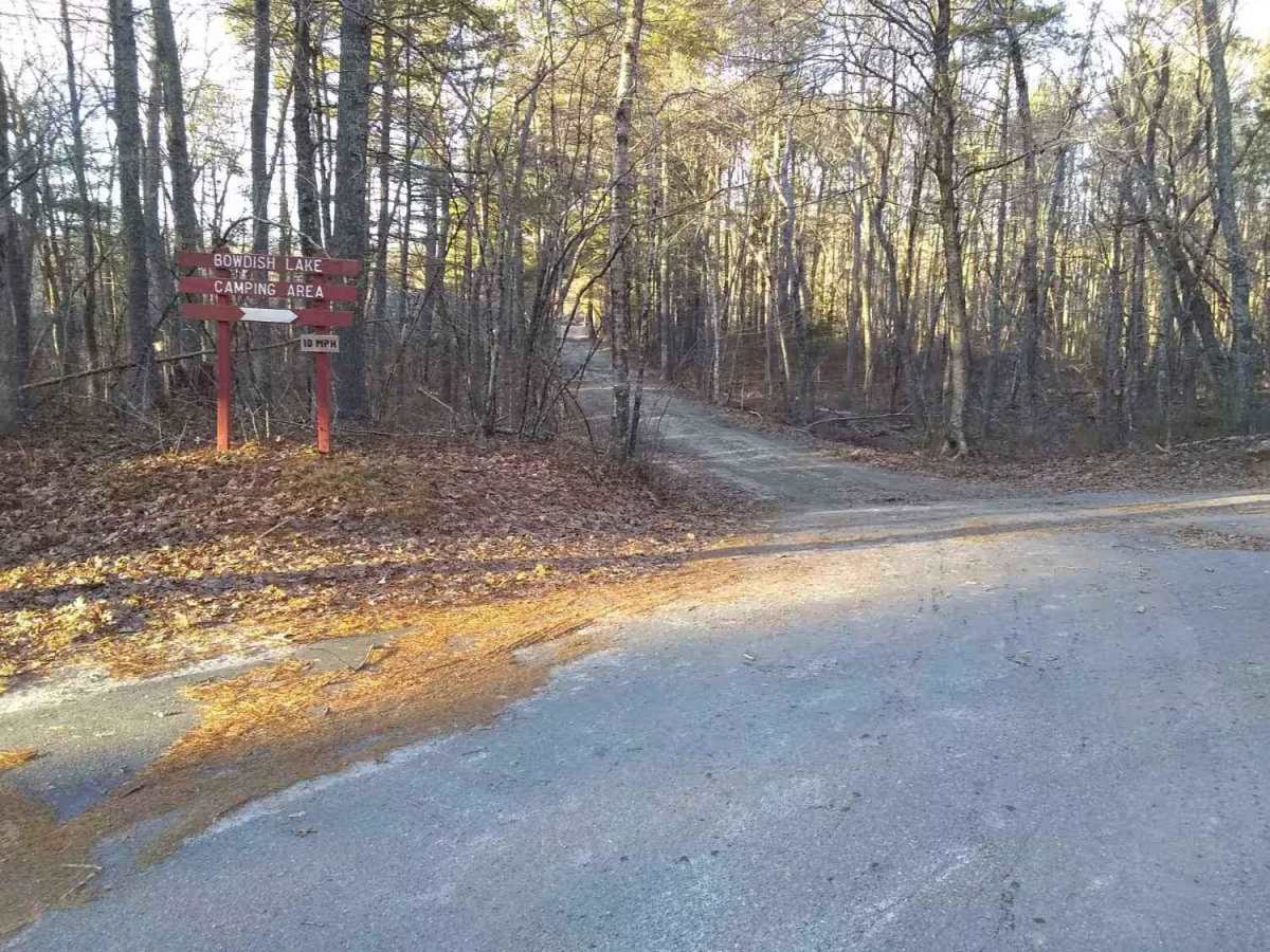 Richardson Clearing Trail & Cold Spring Drive photo 5