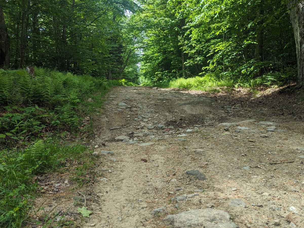 Bannis Road photo 6