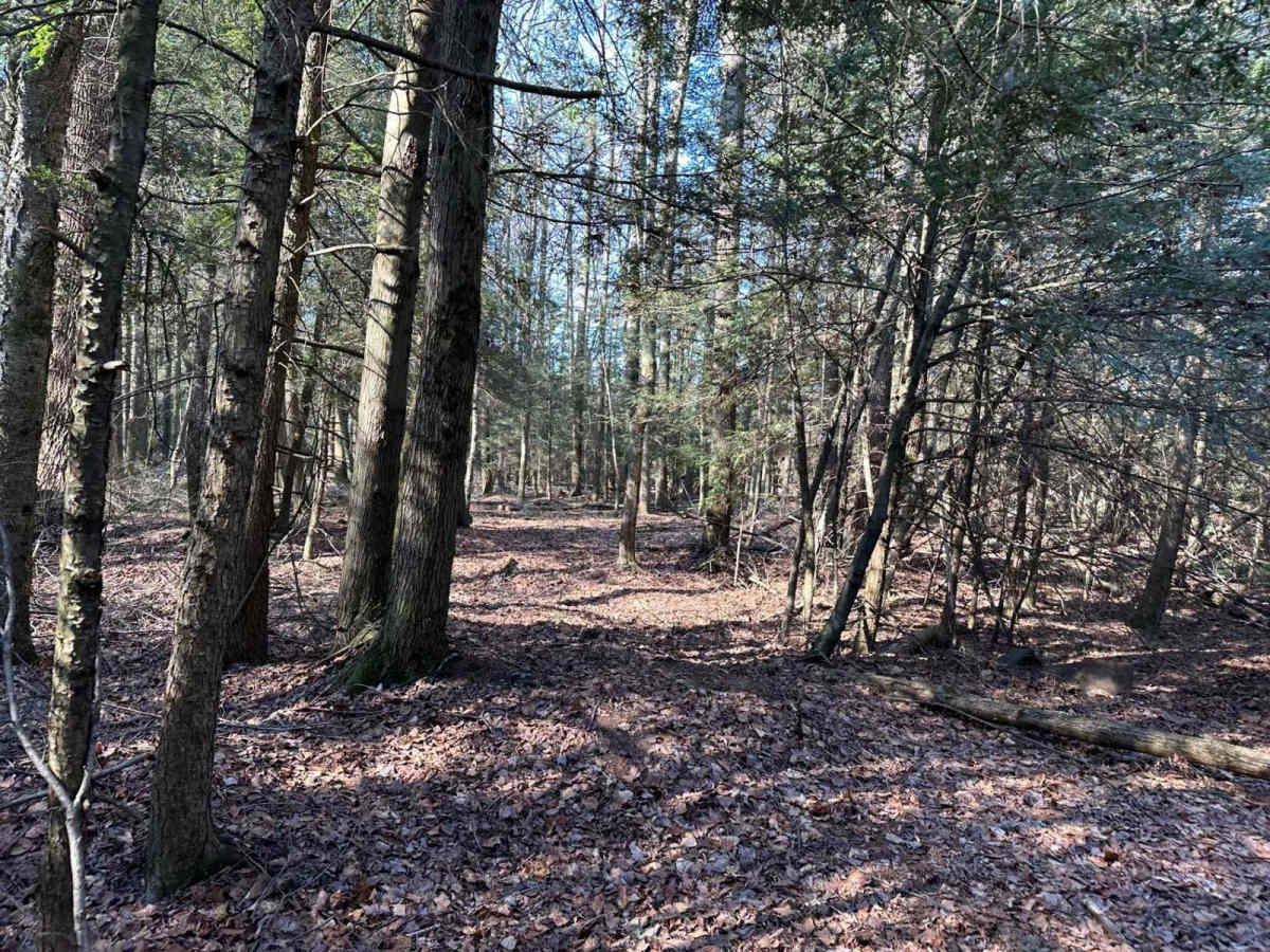 Tower City 33 trail photo