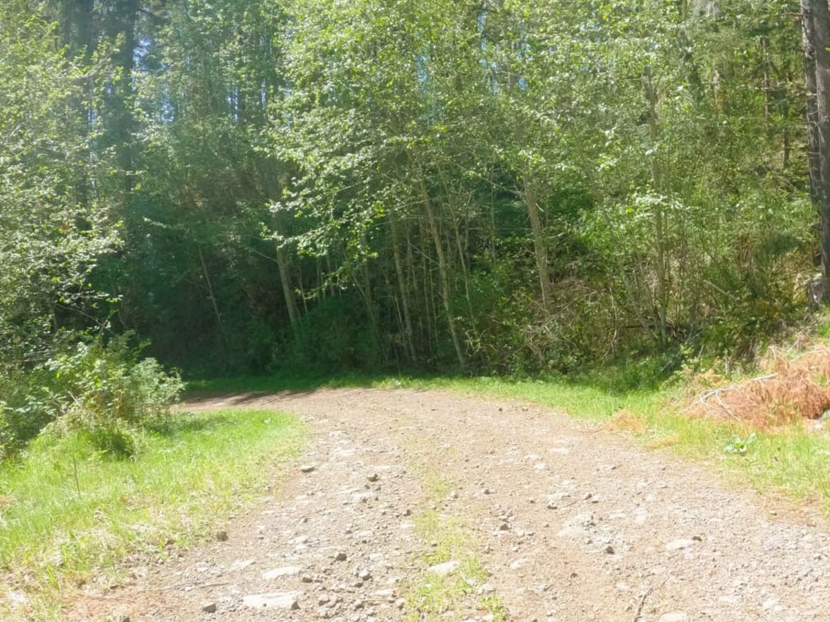 ZigZag Road - South photo 3