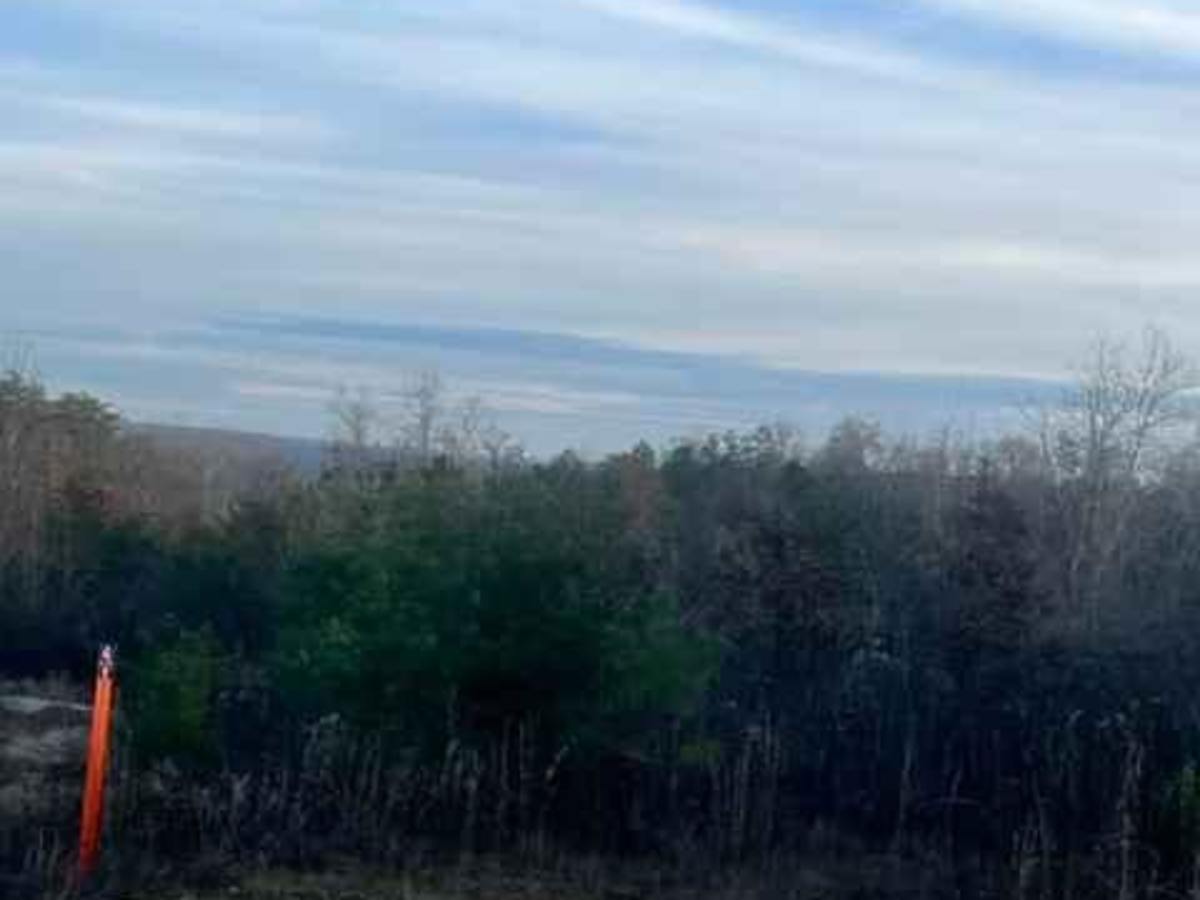 Coalmont OHV Trail 2 Green photo 4