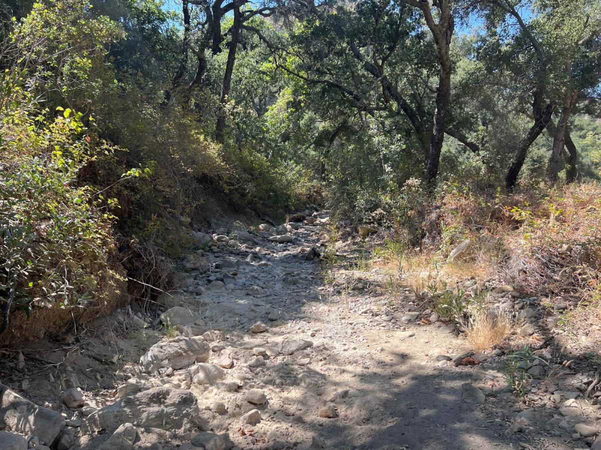 Hi Mountain Road photo 5