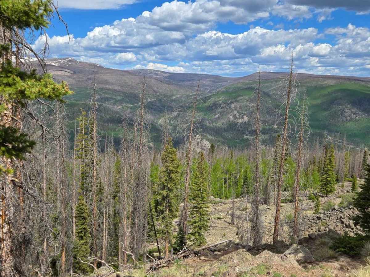 Fox Mountain Road photo 5