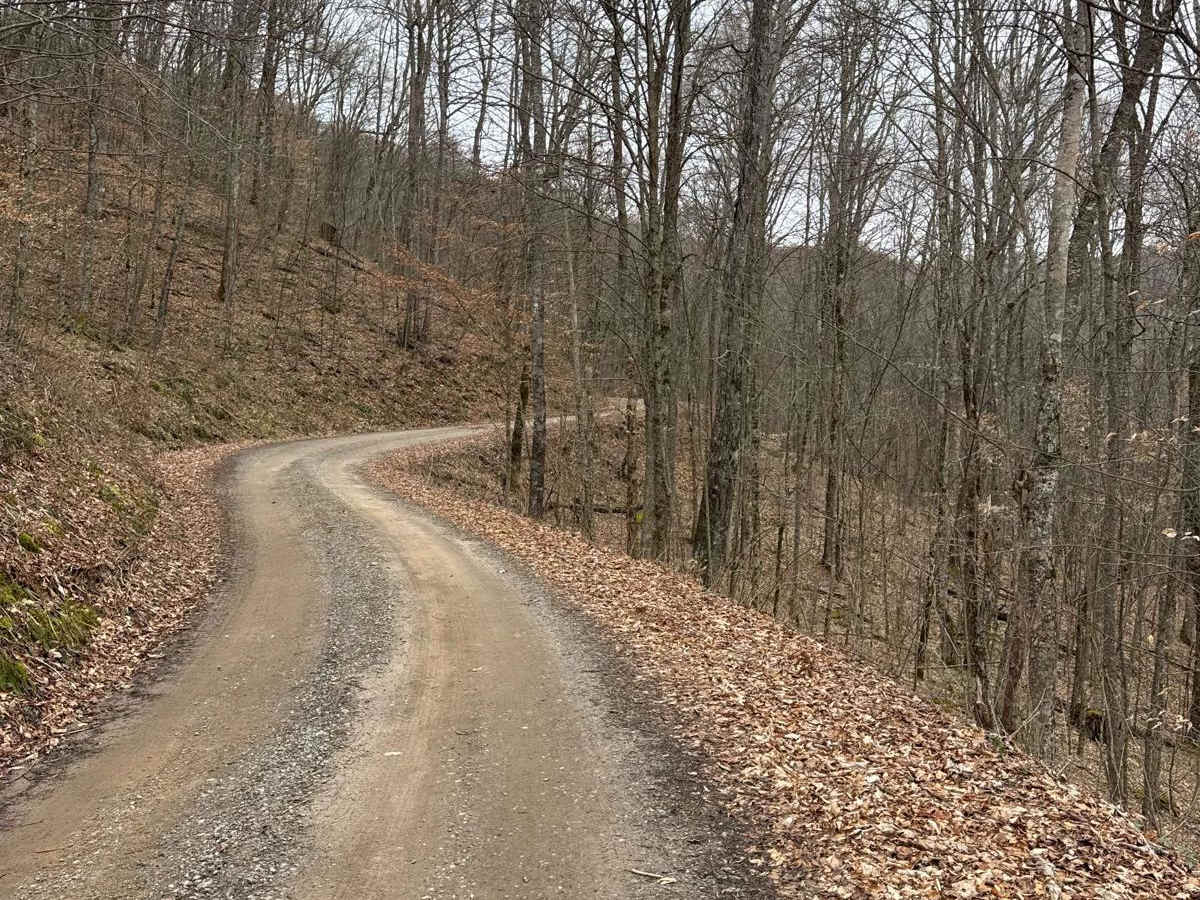 Deep Gap - FR 71 trail photo