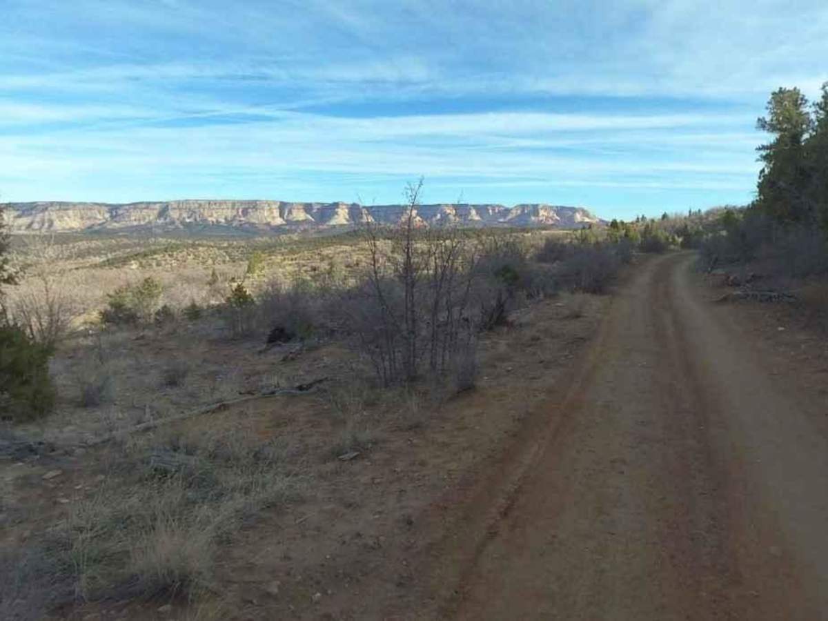 Twin Hollow BLM 98 photo 2