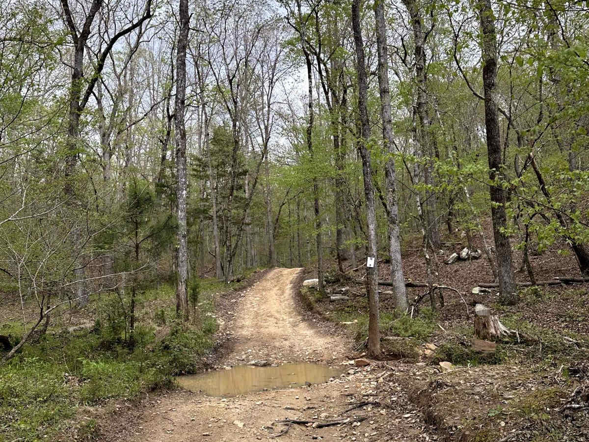 Trail 10 photo 3