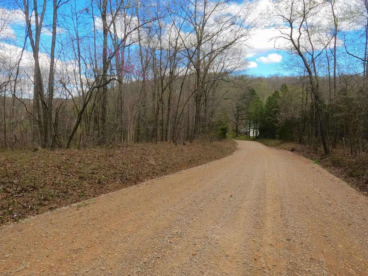 Wash Creek Road photo 4