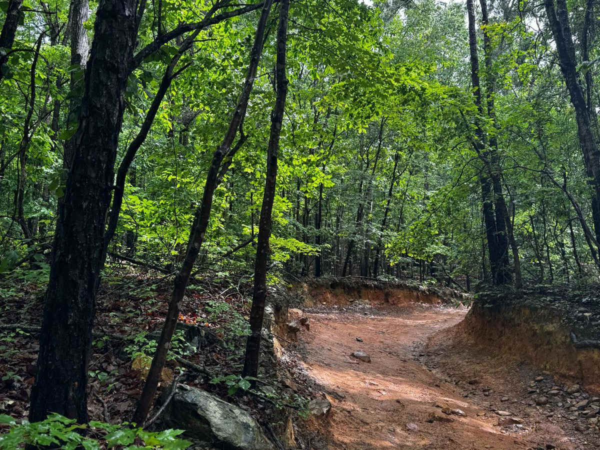 Sawmill Trail 93 photo 5