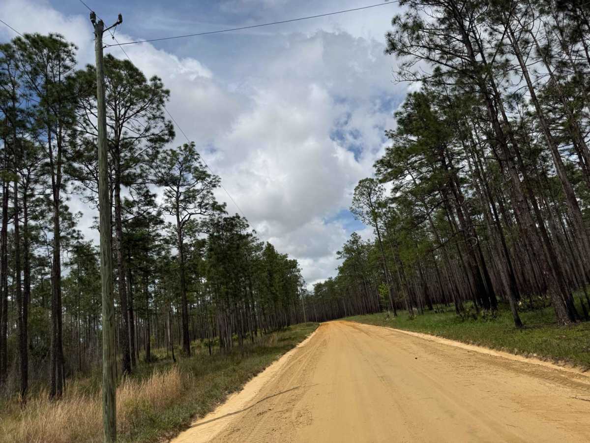 Briar Patch Road - FS 123 North photo 4