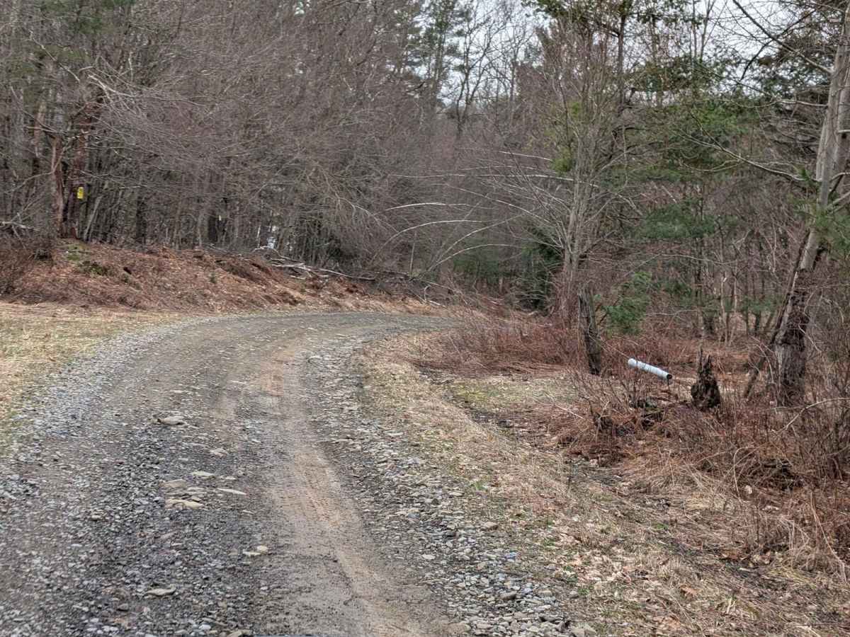 Slocum Hill Road photo 5